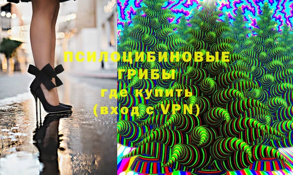 дурь Алзамай