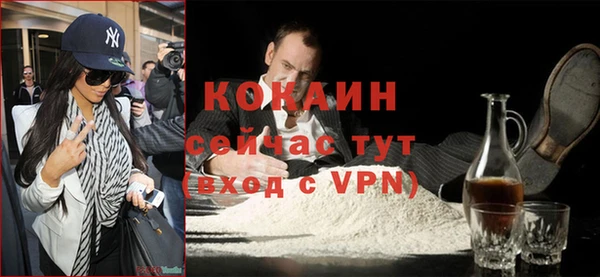 твердый Алексин